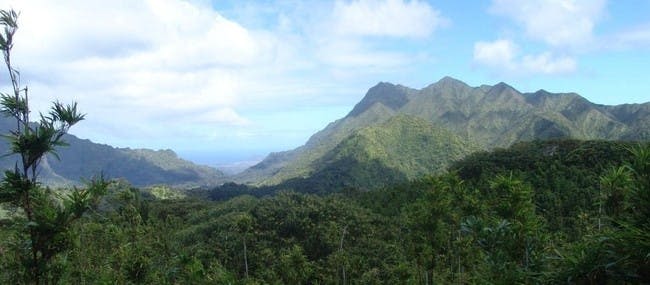 오아후: 그랜드 서클 섬, 돌 농장, 마카다미아 농장 에코 투어