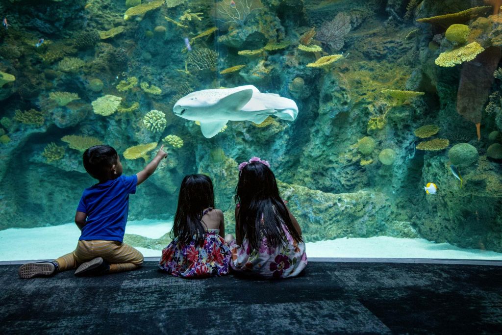 더 리프 – 오션 파빌리온