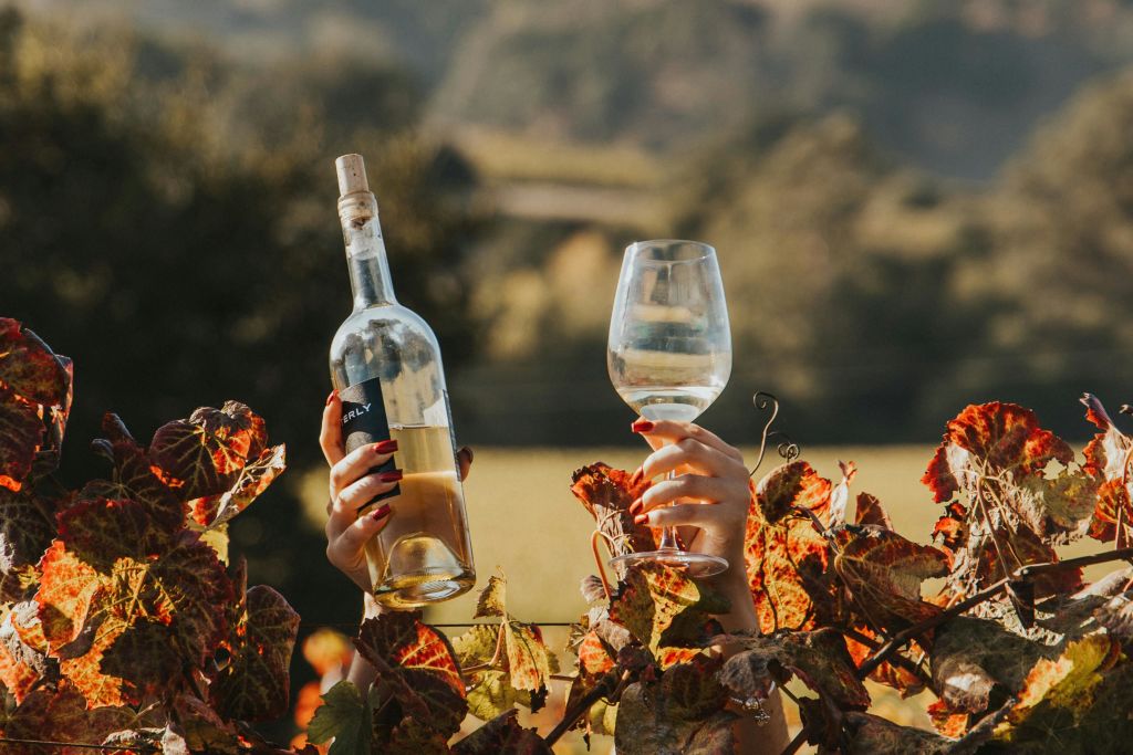 포도원 배경이 흐릿한 가을 잎 위로 와인 병과 유리잔을 들고 있는 손.