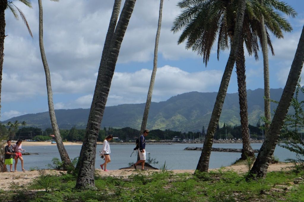 오아후 고시티: 익스플로러 패스