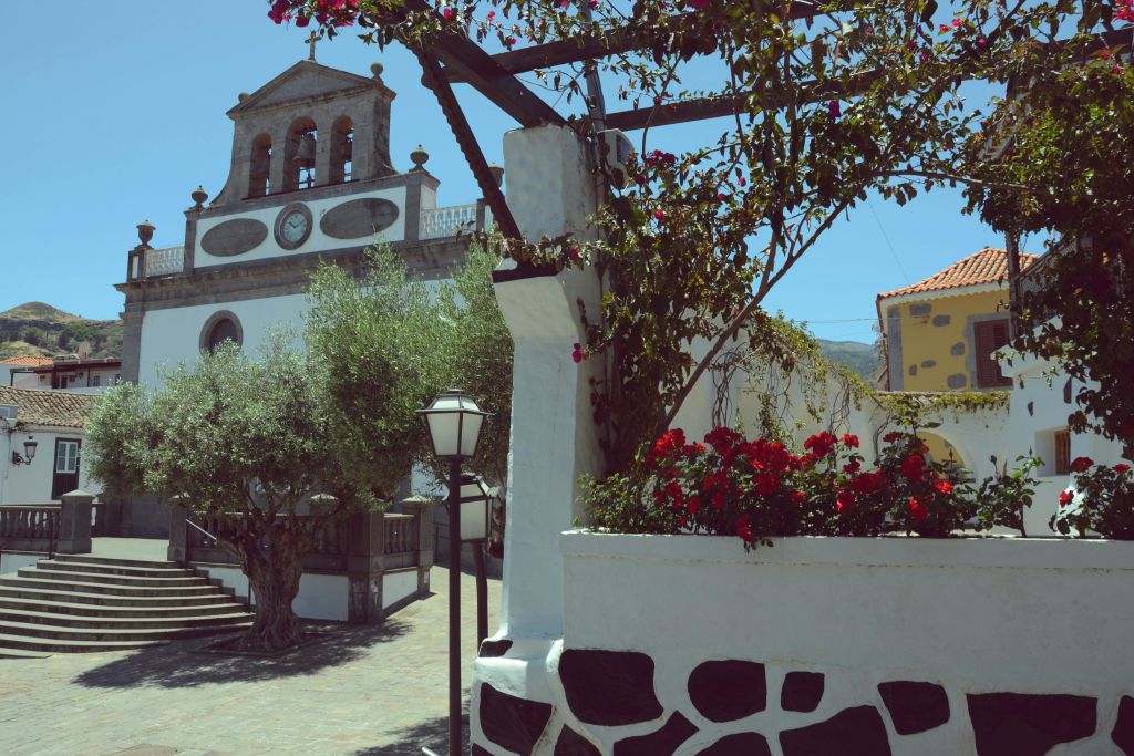 화창한 날에는 흰색 건물과 종탑, 붉은 꽃, 나무, 가로등이 있는 안뜰.