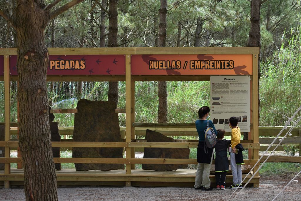 야외 숲 전시관에서 선사 시대 발자국에 대한 정보 패널을 읽는 사람들.