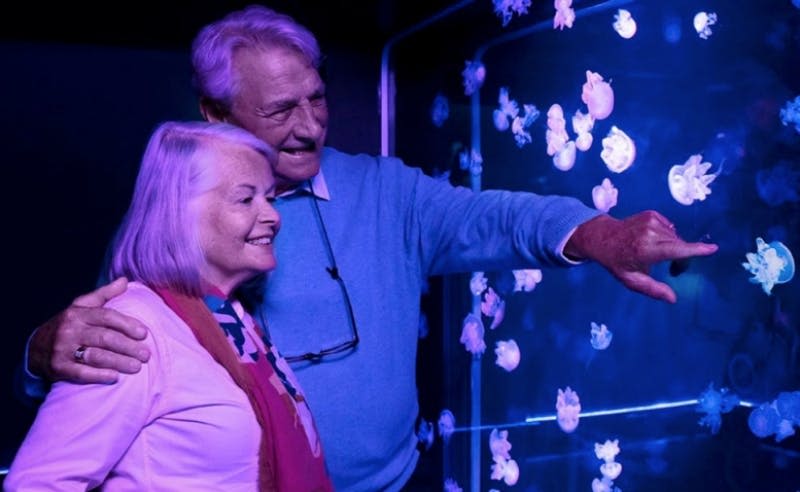 한 노부부가 수족관에서 보라색 빛으로 빛나는 해파리를 보며 웃으며 포옹하고 있습니다.