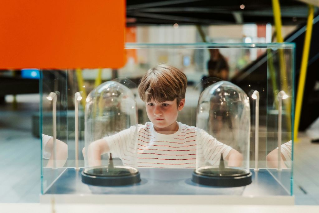 줄무늬 셔츠를 입은 어린 소년이 박물관과 같은 분위기에서 두 개의 유리 디스플레이 돔을 유심히 바라보고 있습니다.