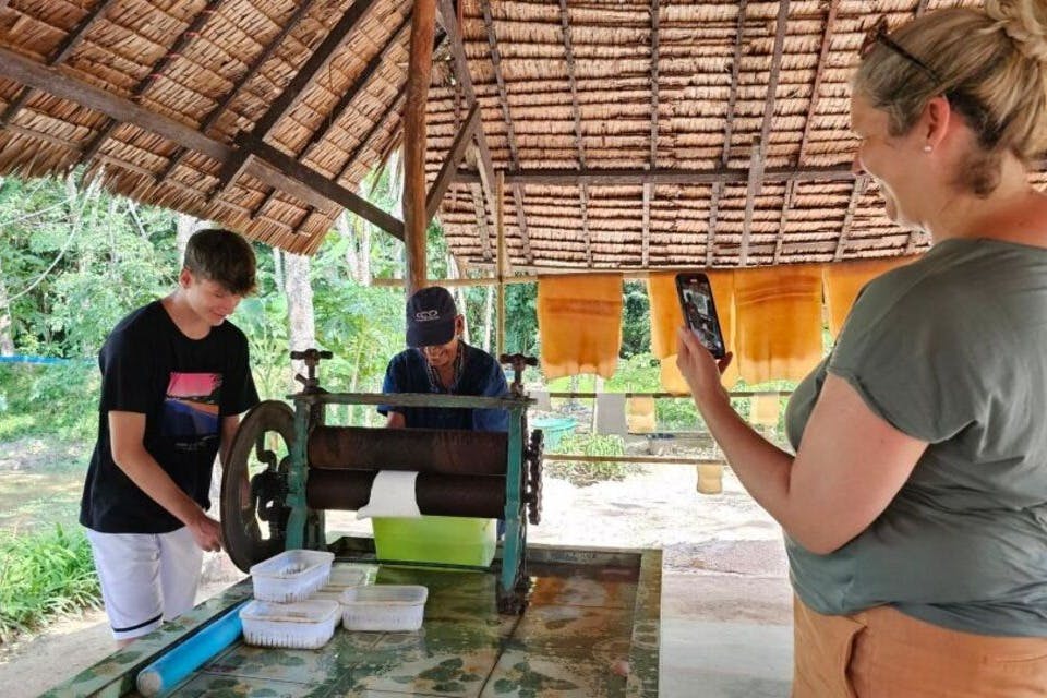 고무나무로 이동하여 고무 수액을 두드리는 매혹적인 과정을 지켜보세요.