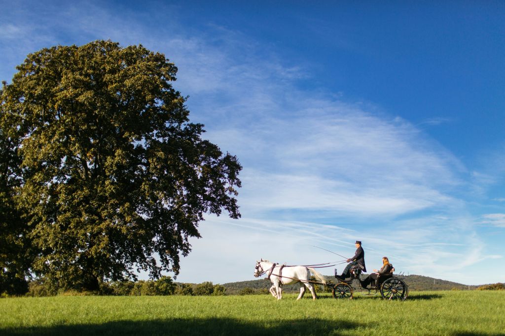 맑고 푸른 하늘 아래 잔디밭에 두 사람이 마차를 타고 왼쪽으로 커다란 나무가 있다.