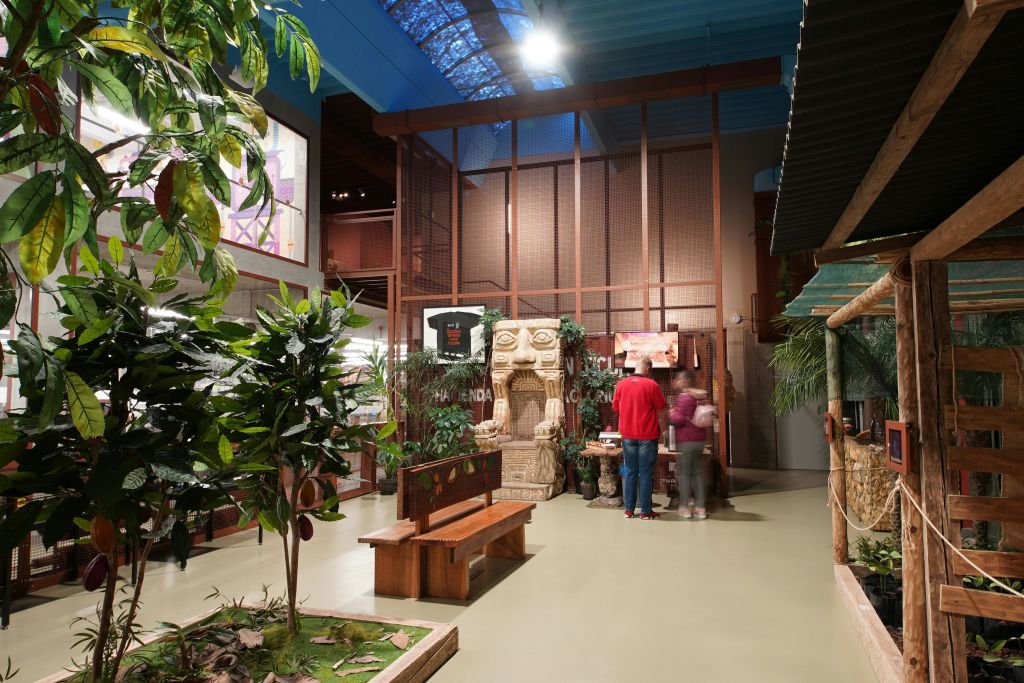 Discover a Mexican Cacao Plantation and taste cocoa drinks, with a unique elevator ride in a container!