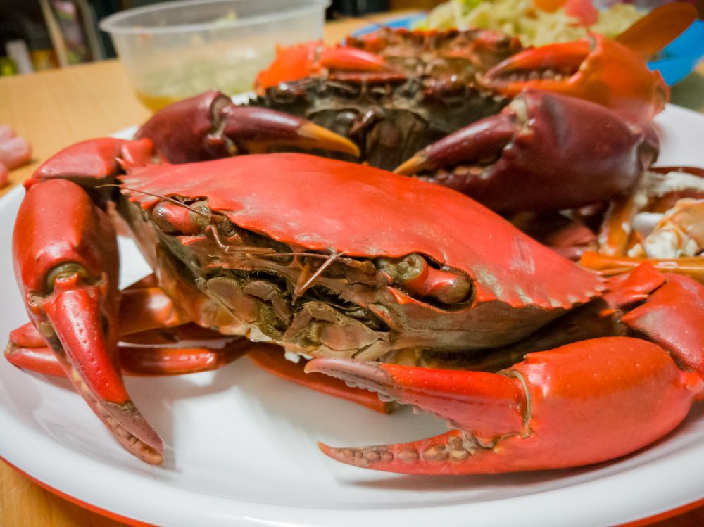 물보라 다찌
