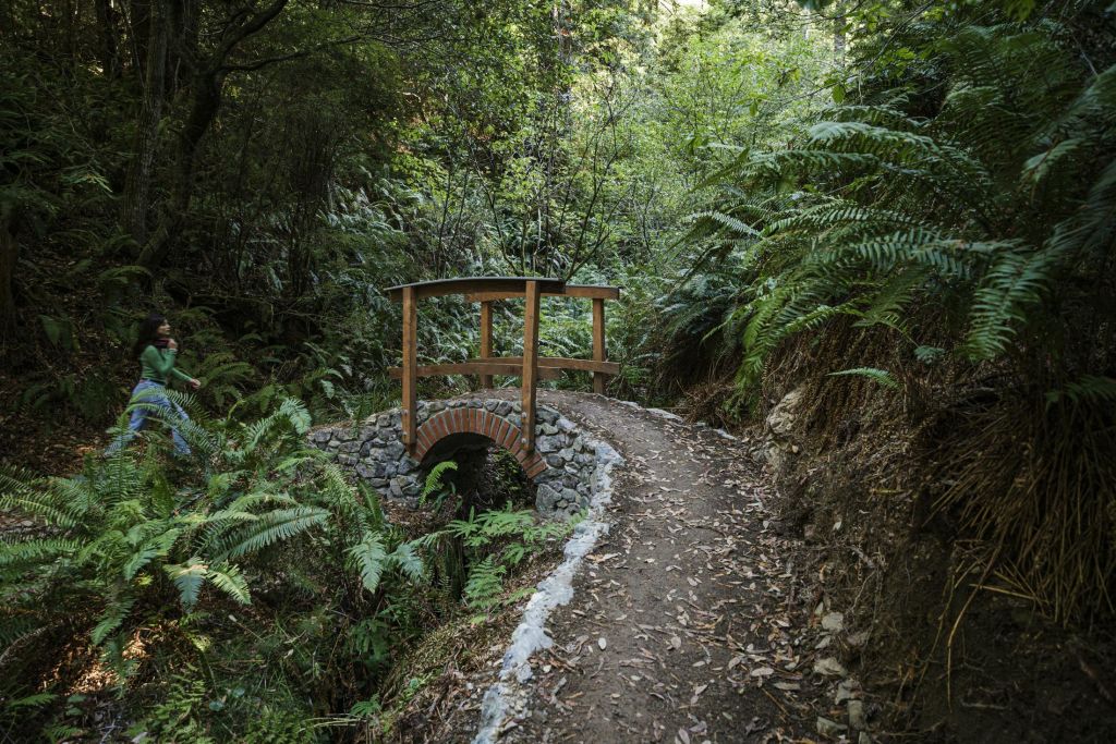 울창한 녹음과 양치류로 둘러싸인 숲길의 개울 위에 있는 작은 나무와 벽돌 다리.