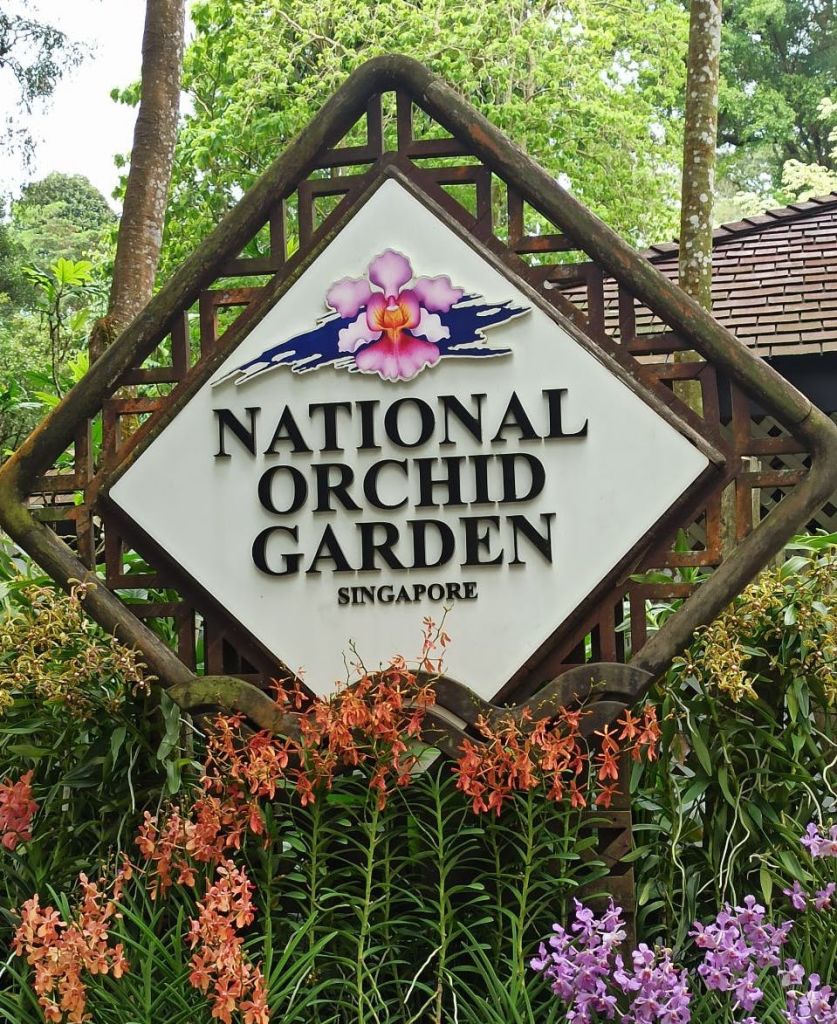 식물과 꽃으로 둘러싸인 분홍색 난초가 있는 "내셔널 오키드 가든 싱가포르" 에 서명하세요. 나무와 건물을 배경으로.
