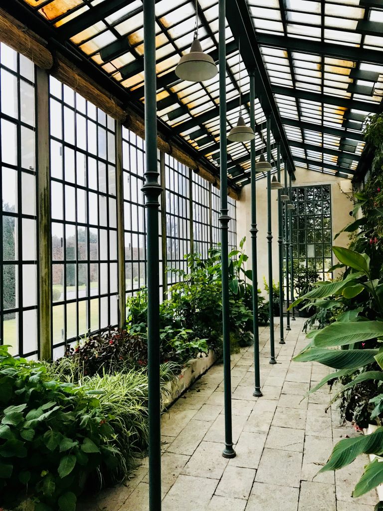 높은 창문, 금속 기둥, 식물, 타일 바닥이 있는 온실. 천장 조명과 등반용 식물이 있는 벽이 보입니다.