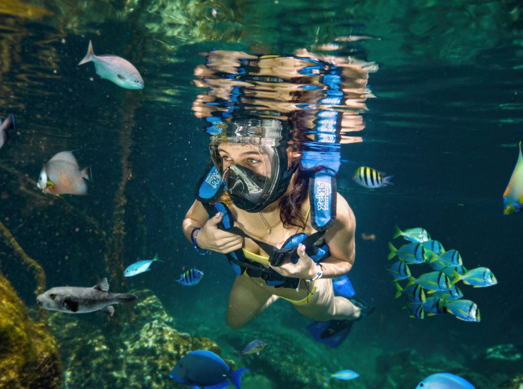 깨끗한 수중 환경에서 다채로운 물고기로 둘러싸인 수중 스노클링 장비를 착용한 사람.