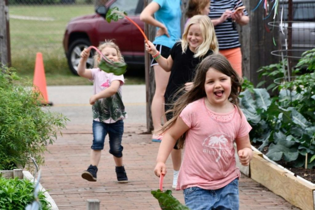 어린이 야채 정원을 뛰어다니는 어린이들.
