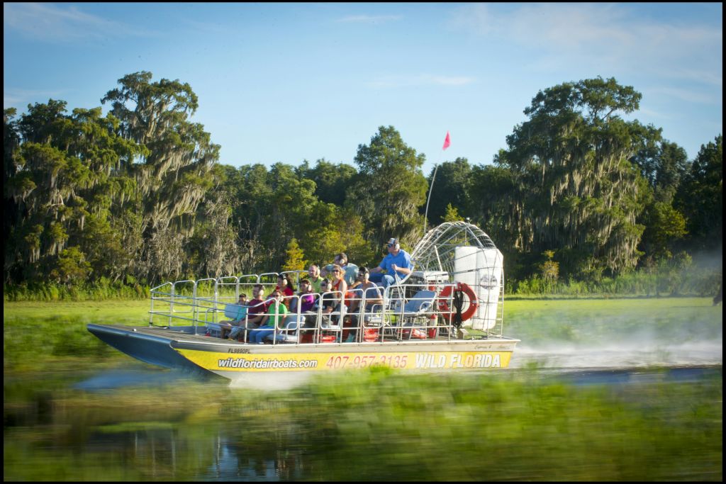 승객이 탑승한 에어보트가 나무를 배경으로 늪지를 활보하고 있습니다. 보트에는 "와일드 플로리다" 라고 쓰여 있습니다.