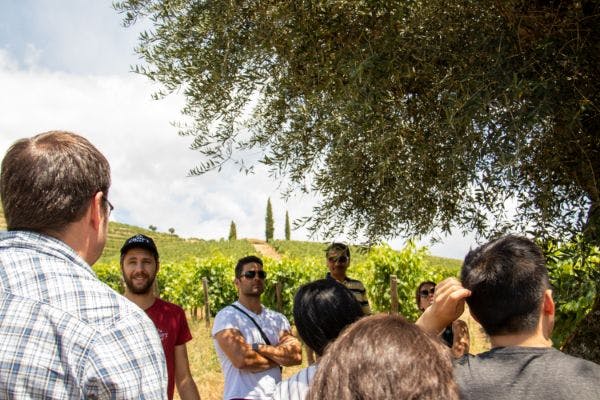 한 무리의 사람들이 포도원의 나무 아래에 서서 대화를 나누고 있습니다. 배경에는 구불구불한 언덕과 흐린 하늘이 보입니다.