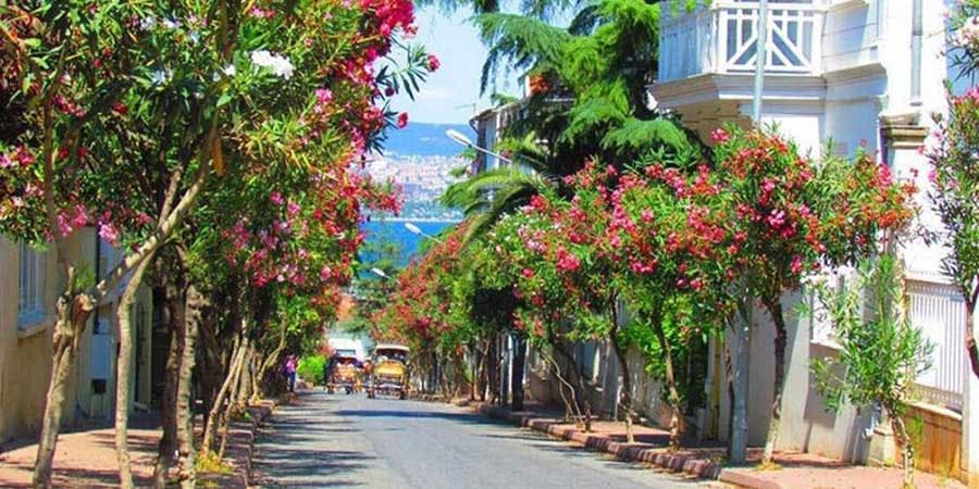 가로수 길 양쪽에 꽃이 피어 있어 도시 건물과 바다의 먼 풍경을 감상할 수 있습니다.