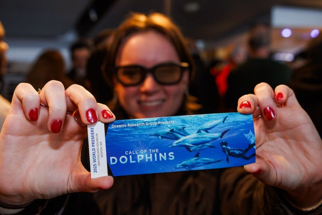 돌고래의 부름 3D