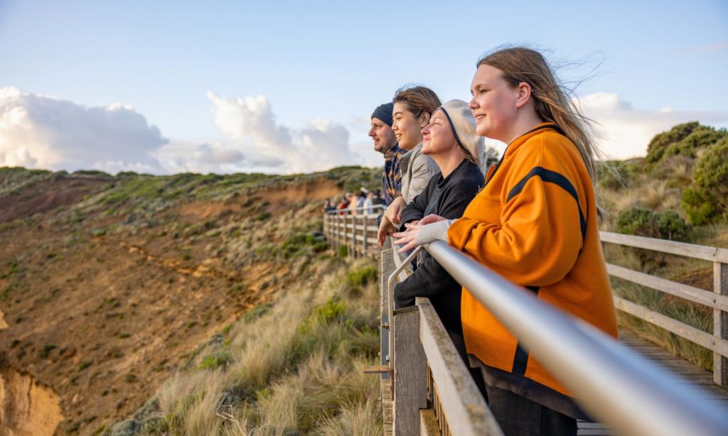 4명이 나무 난간에 서서 잔디가 우거진 절벽과 흐린 하늘의 경치를 감상하고 있습니다.