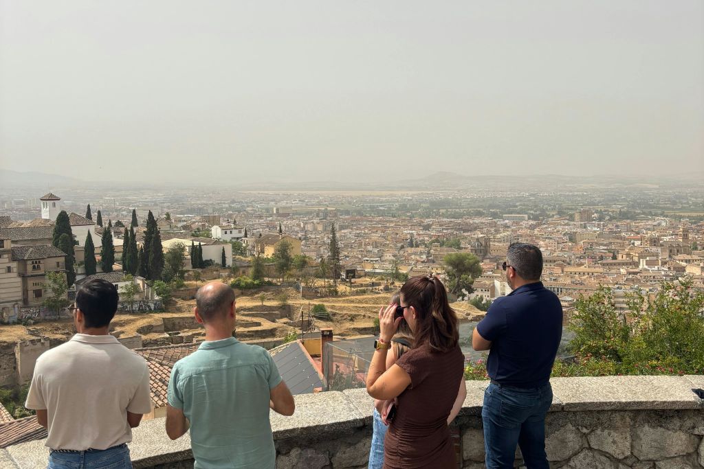 건물, 나무, 흐릿한 하늘을 배경으로 광활한 도시 풍경이 내려다보이는 전망대에 네 사람이 서 있습니다.