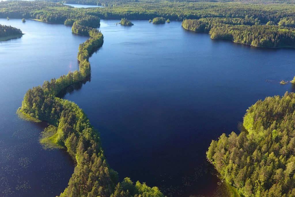 Liesjärvi 호수 국립공원
