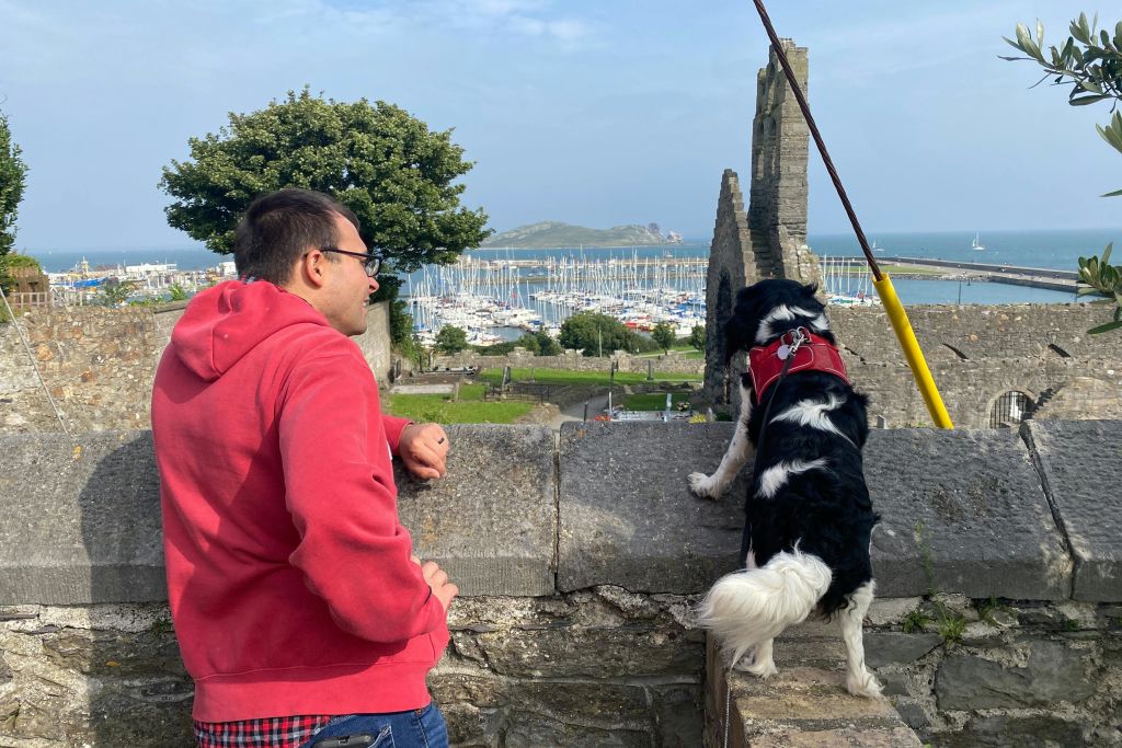 St Mary 's Abbey Built 1042를 보여주는 리드 가이드 MIssy (강아지)