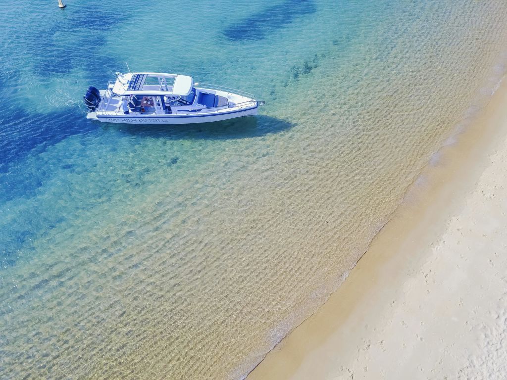 스토어 비치에서 즐기는 시드니 하버 보트 투어