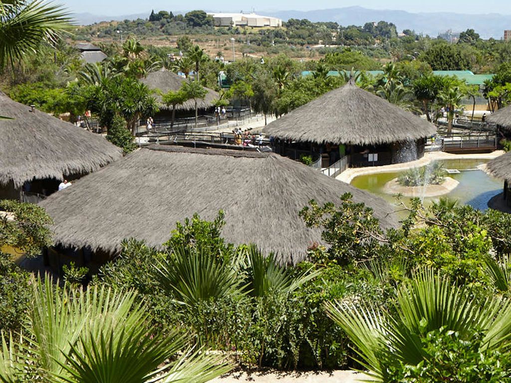 울창한 초목과 야자수로 둘러싸인 초가지붕 오두막은 먼 언덕과 맑은 하늘을 배경으로 합니다.