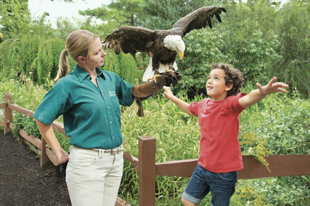 한 여성이 대머리 독수리를 들고 있고, 한 소년이 두 팔을 들어 올린 채 열심히 지켜보고 있습니다. 녹음이 우거진 울창한 야외 환경에 있습니다.