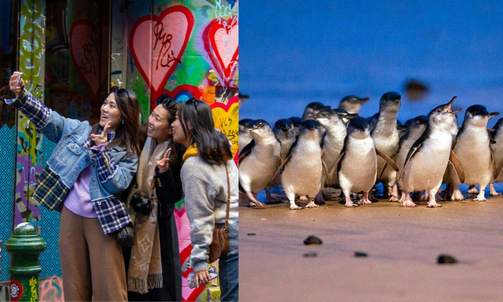 알록달록한 그라피티 앞에서 세 명의 여성이 셀카를 찍고 있습니다. 오른쪽에는 펭귄이 해변에 서 있습니다.