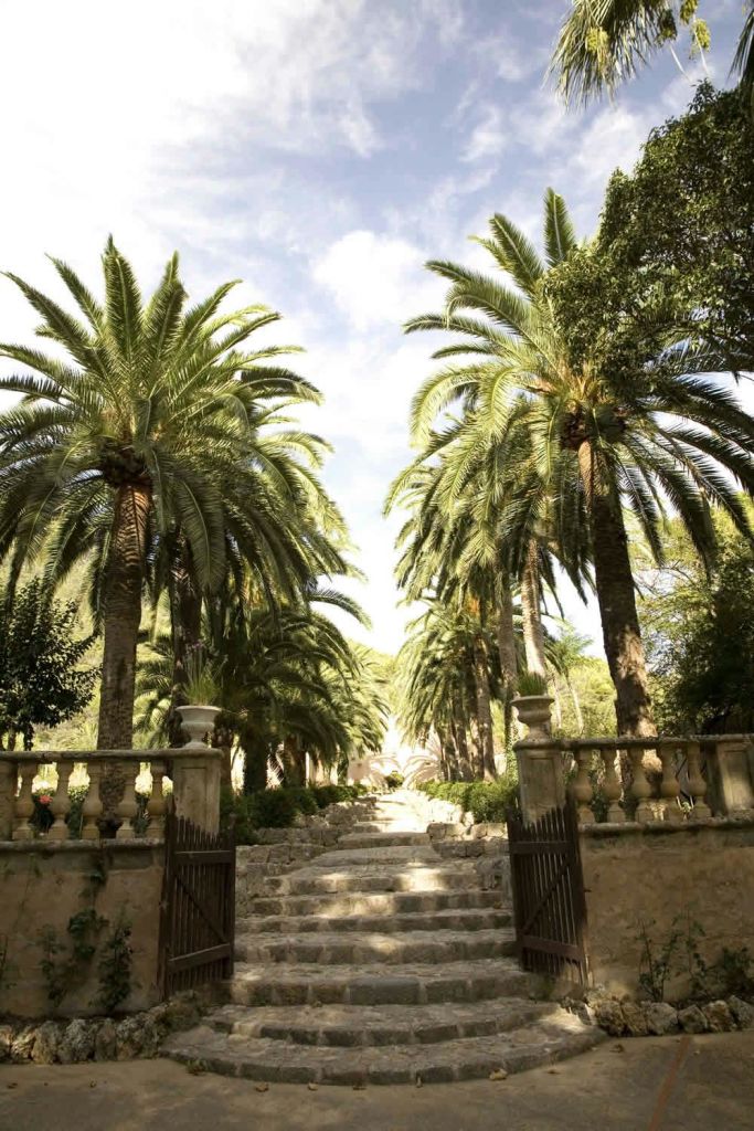 높은 야자수가 늘어선 통로로, 석조 계단과 난간이 있는 개방형 출입구를 통해 이어집니다. 화창한 날씨.