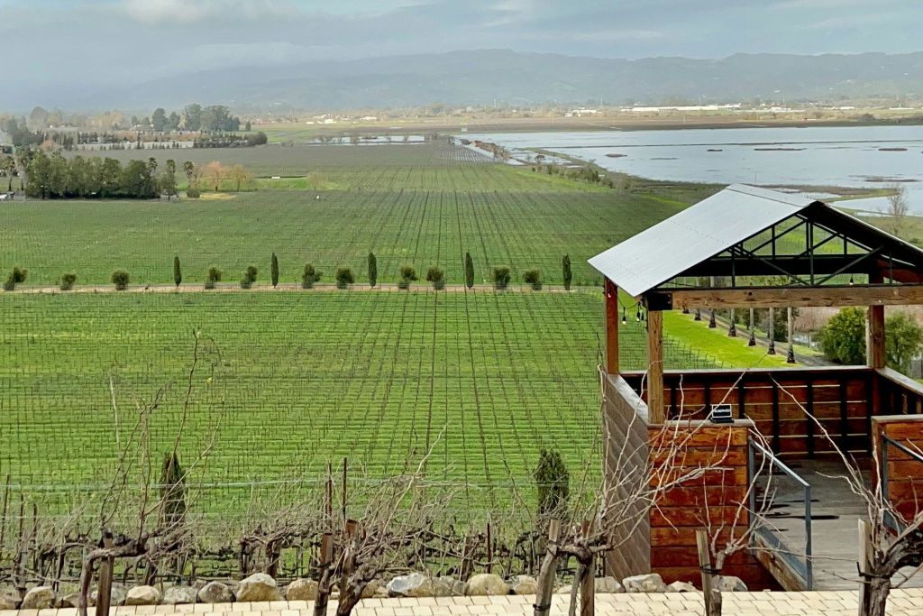 와이너리에서 바라보는 전망