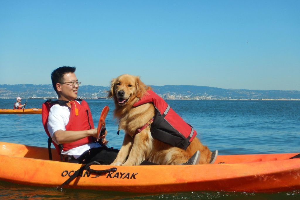 좋아하는 사람 또는 반려동물과 함께 카약 타기