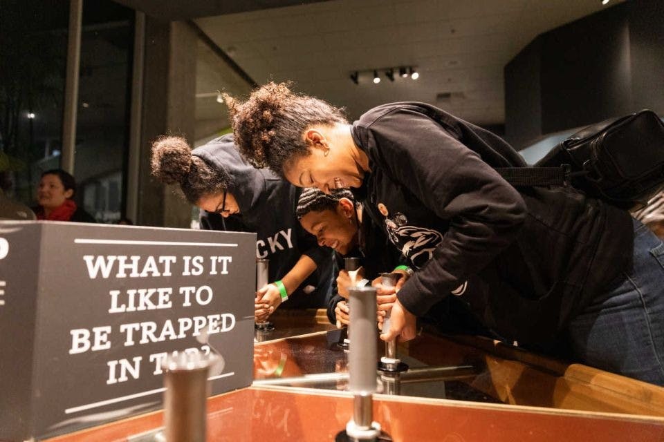 타르 구덩이에서 배우기