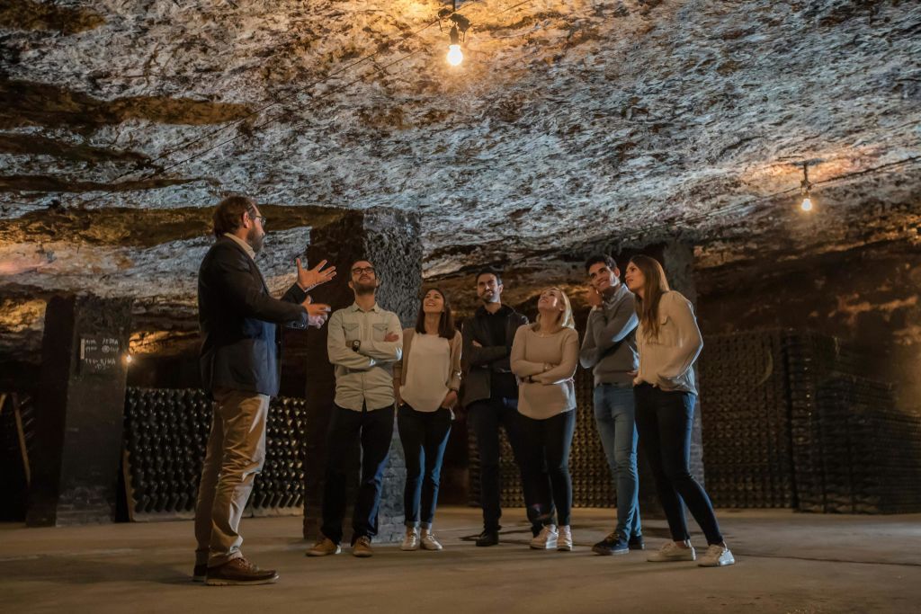 벽에 병이 쌓인 희미한 불빛의 와인 저장고에서 6명의 일행과 이야기를 나누는 가이드.