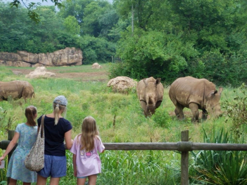내슈빌 동물원