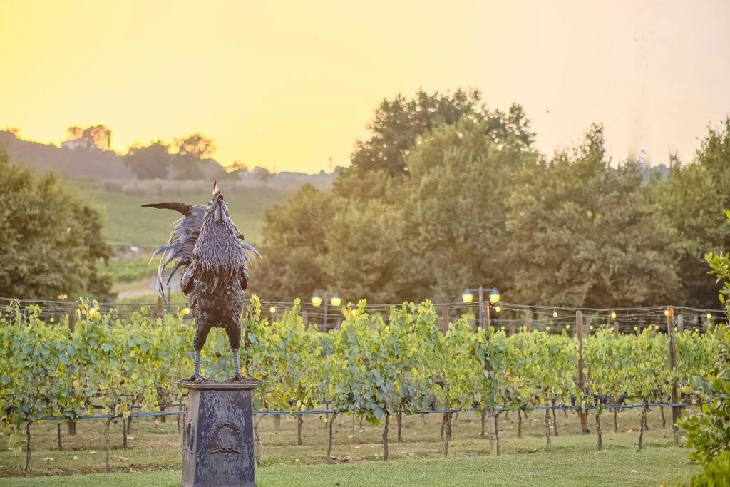 키안티의 검은 수탉