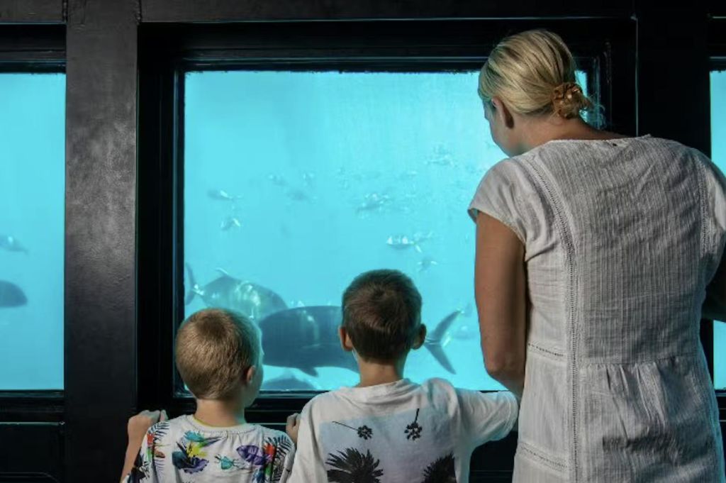 두 아이가 수족관 창문 앞에 서서 큰 물고기와 작은 바다 생물이 푸른 물에서 헤엄치는 모습을 지켜보고 있습니다.