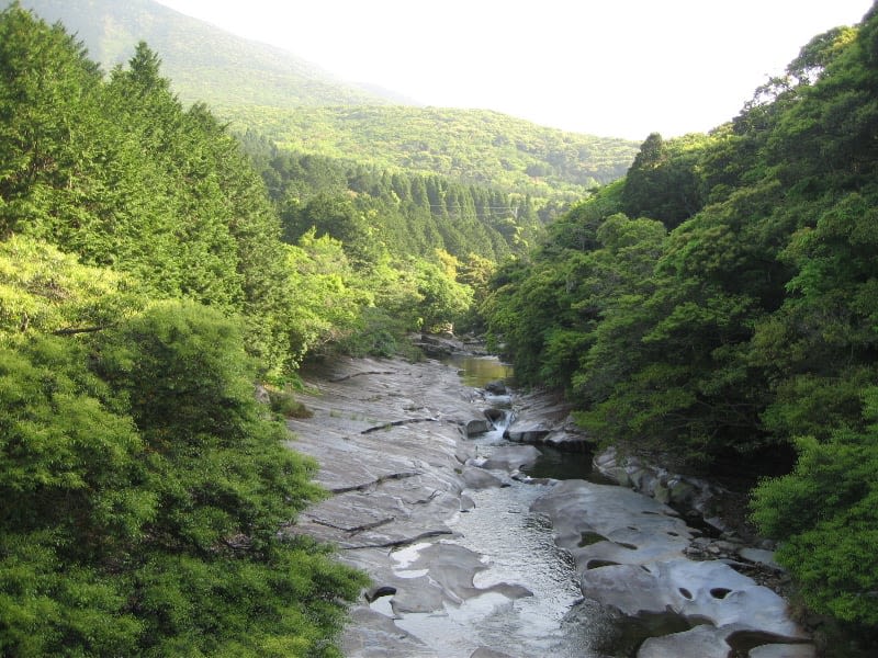 아유모도시 자연 공원