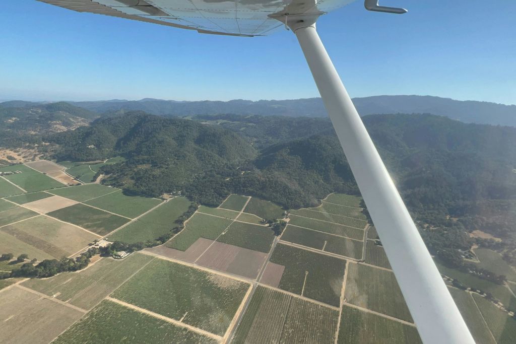 Beautiful sight of the vineyards