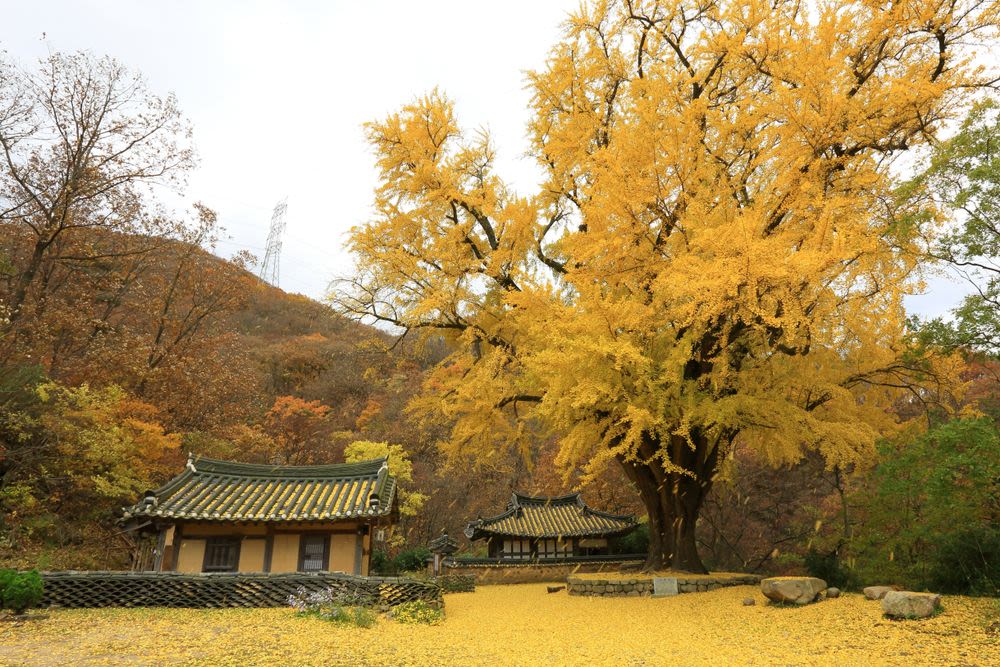 운곡서원