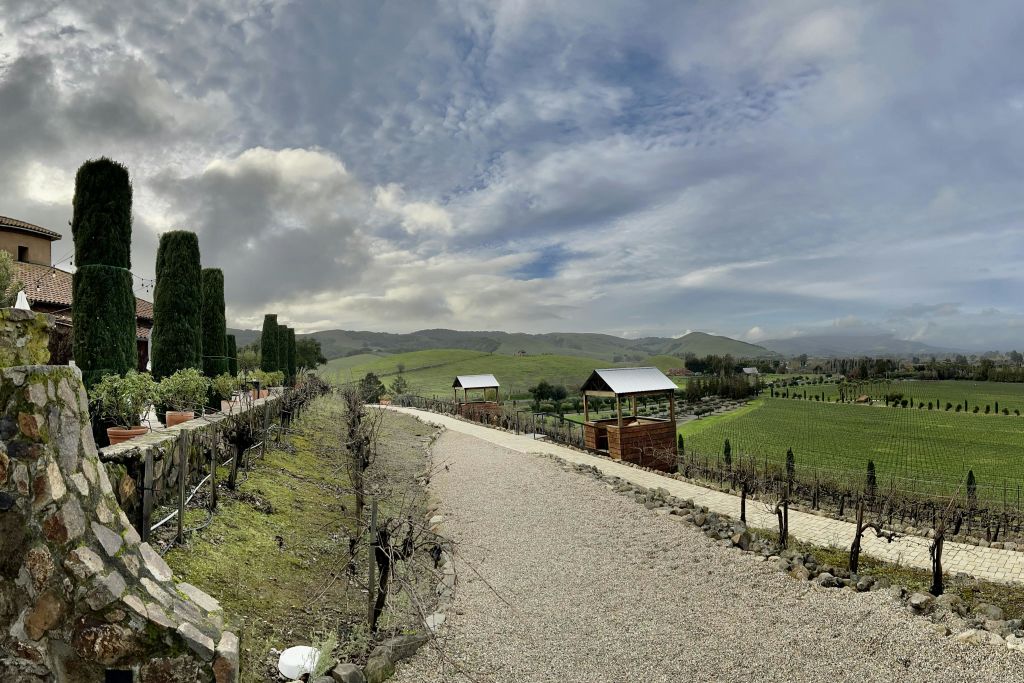 와이너리에서 바라보는 전망