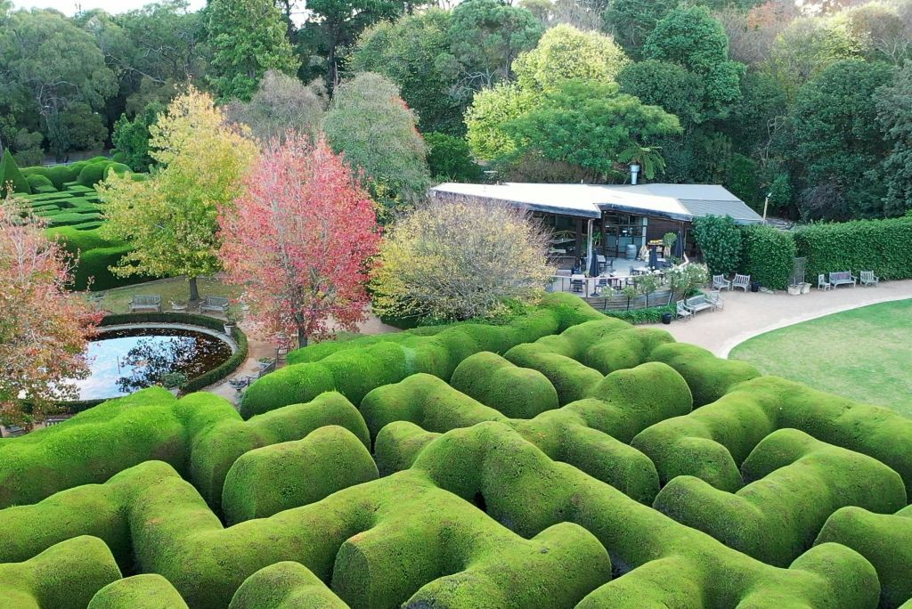 잘 다듬어진 울타리 미로, 가을 나무, 연못, 현대적인 건물 옆의 야외 좌석 공간의 공중 전망.