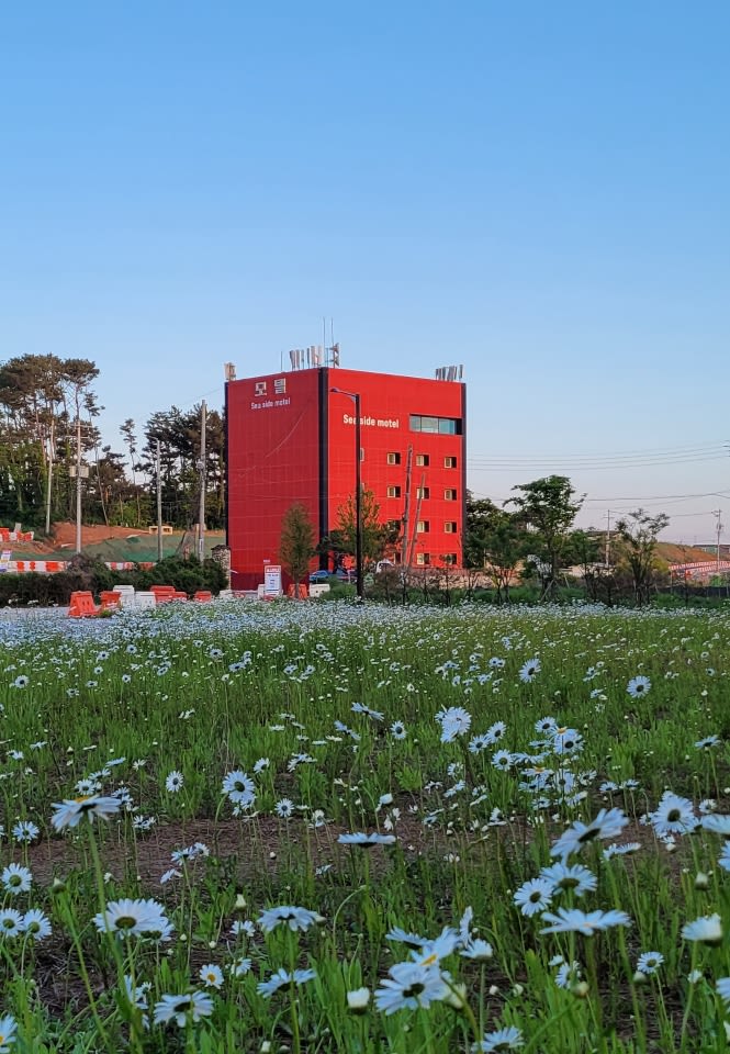 제부도(궁평항) 씨사이드 팁 & 고려사항 이미지