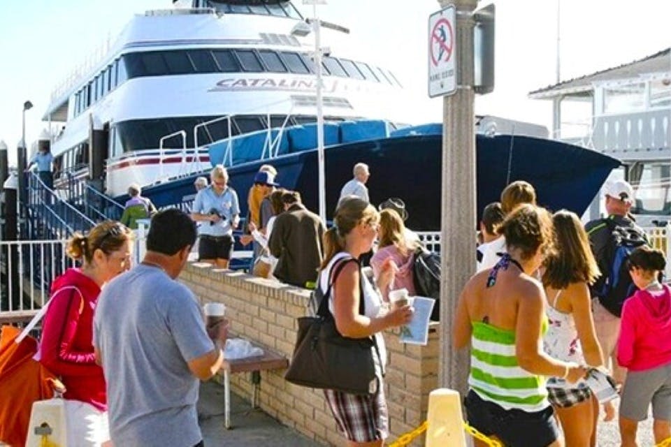 집라인 타고 즐기는 카탈리나섬 에코 투어