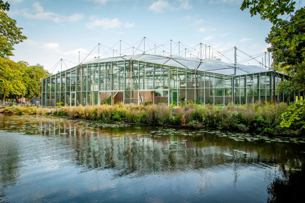 푸른 하늘 아래 수련이 흐르는 연못 옆에 있는 유리 외관이 식물로 둘러싸인 현대적인 온실입니다.