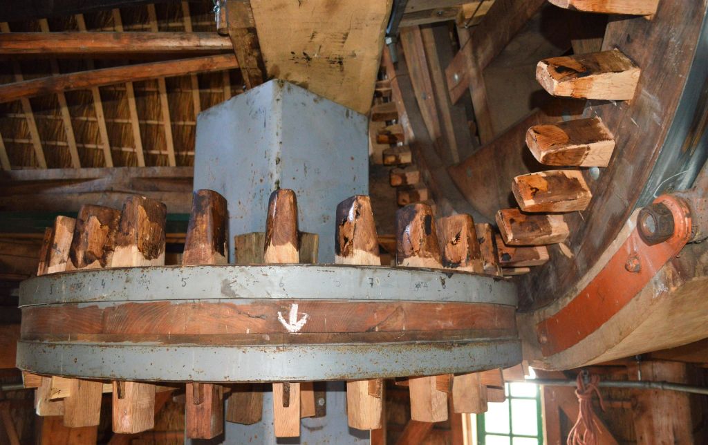 후드의 오버헤드 비너는