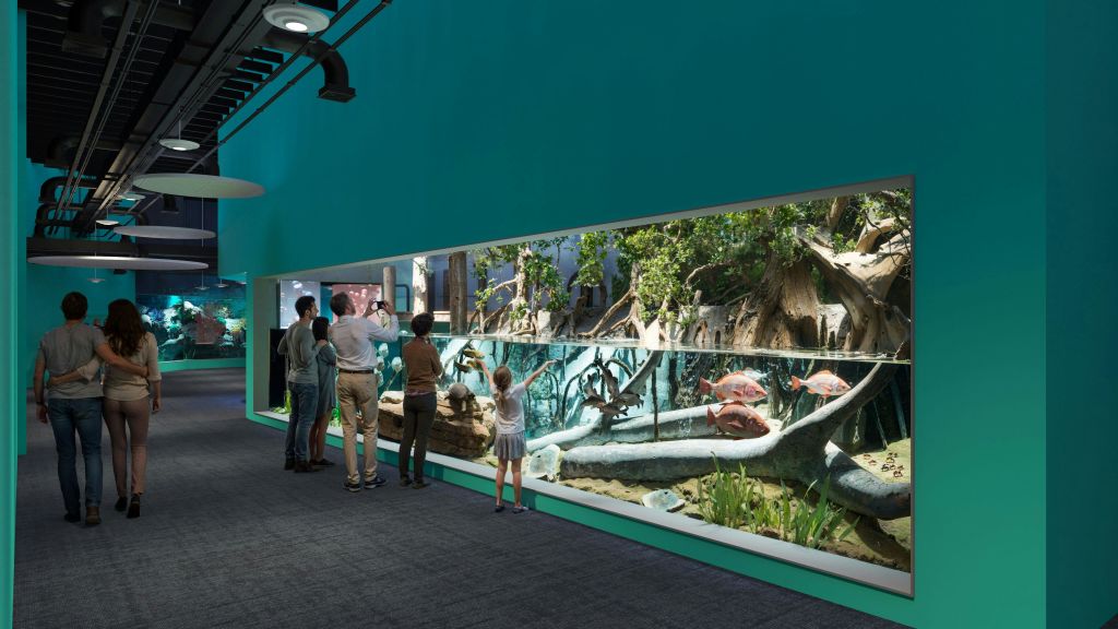 어두운 실내 전시관 내부에 물고기, 식물, 나무 모양의 구조물이 있는 대형 수족관을 관찰하는 사람들의 모임.