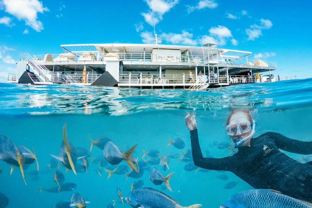 맑고 푸른 하늘 아래 대형 보트를 배경으로 물고기로 둘러싸인 수중에서 스노클러가 손을 흔들고 있습니다.