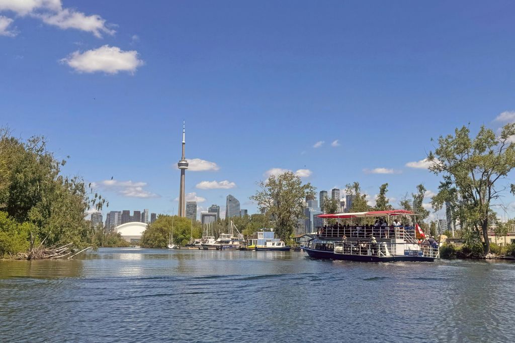 깊은 파이크 컷으로 들어가는 하버 스타