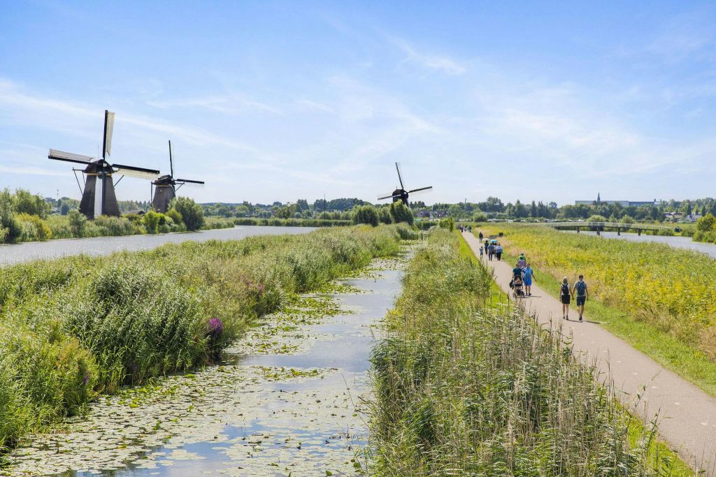 푸른 하늘 아래를 걷는 사람들과 함께 풍차와 푸른 들판이 있는 수초가 있는 운하 옆의 경치 좋은 길.